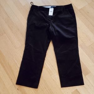 NEW! J.Crew City Fit Velour Trouser